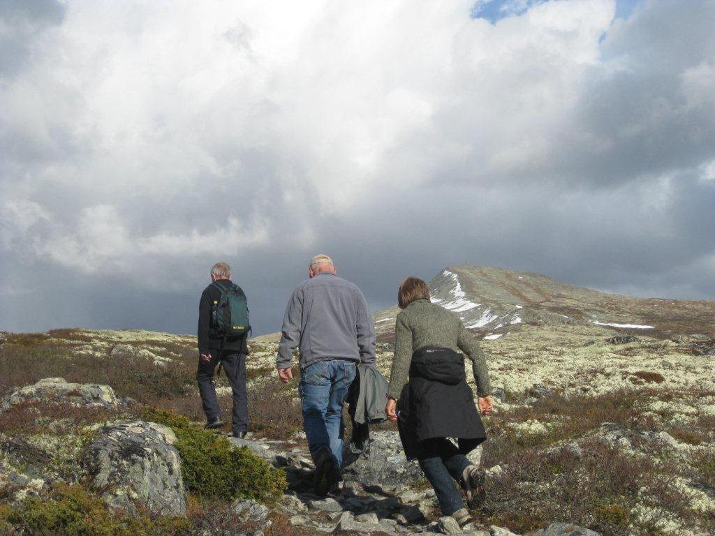Høvringen Putten Seter מראה חיצוני תמונה