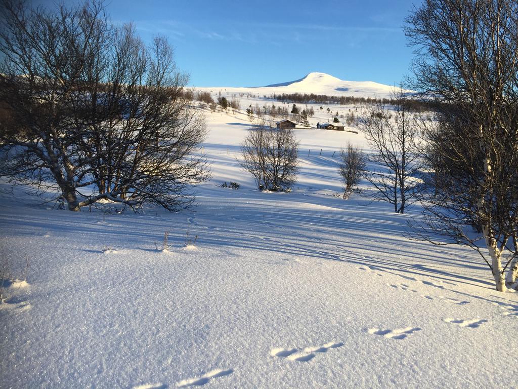 Høvringen Putten Seter מראה חיצוני תמונה