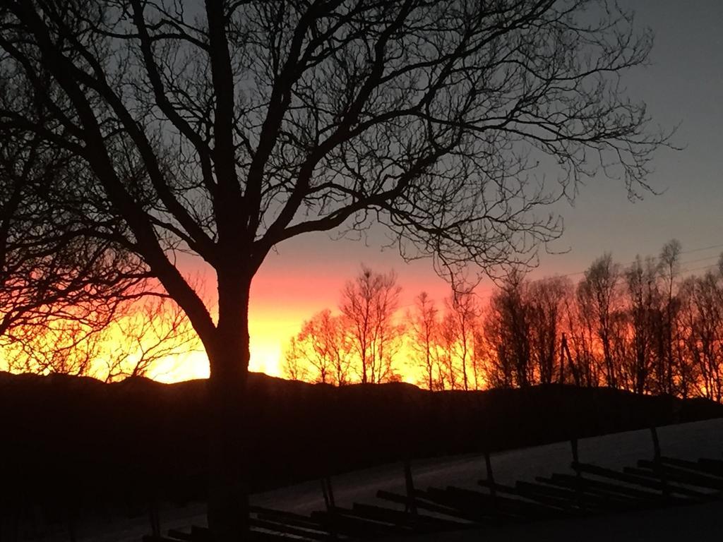 Høvringen Putten Seter מראה חיצוני תמונה